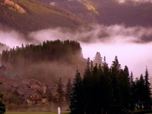 Purcell Setting 2004-10-03