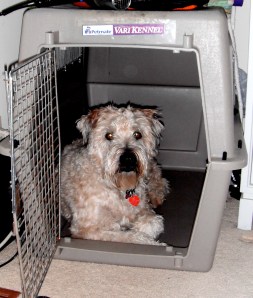 Farley Crate Training