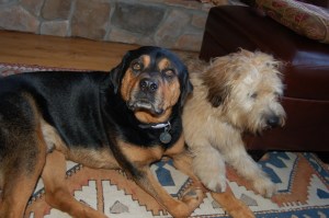 Farley and Murphy 2009-04-05