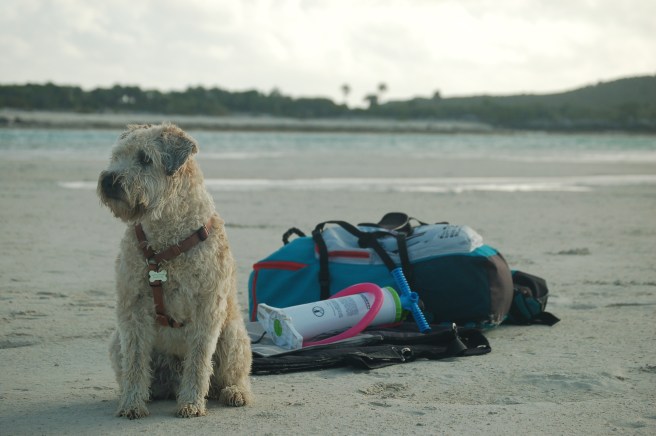 Farley guarding kiting gear