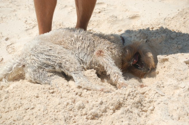 Ah, that feels good.