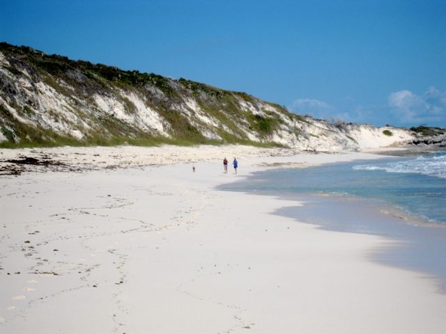 Kristina, a friend and Farley running for happiness.