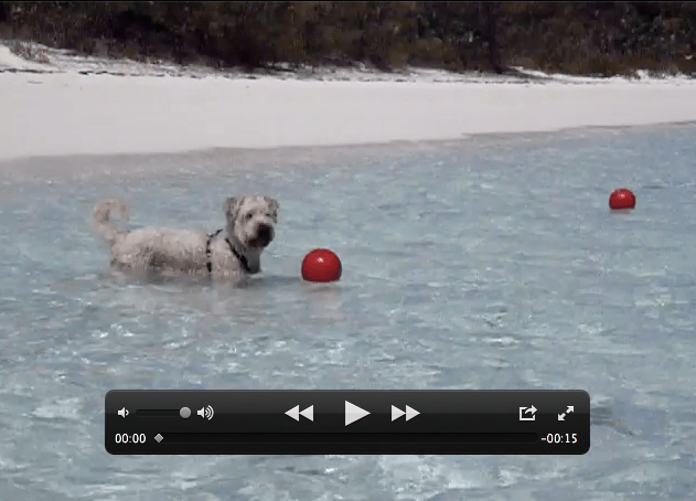 Farley Wants The Ball