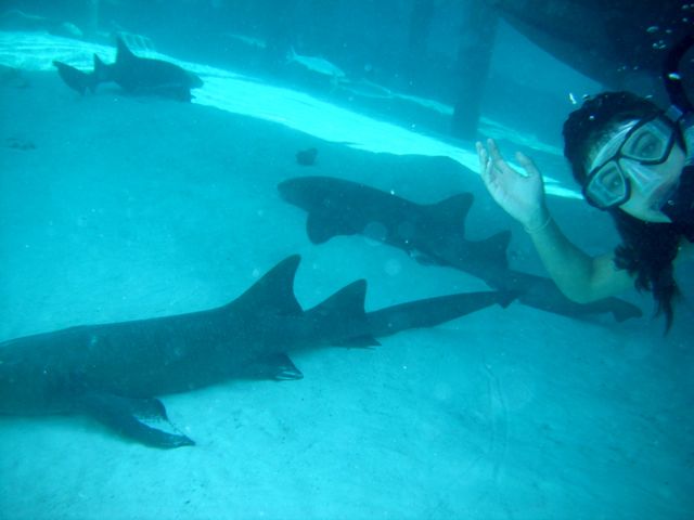 My brave niece and her new friends.