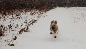 Canada can't always be like this, can it?