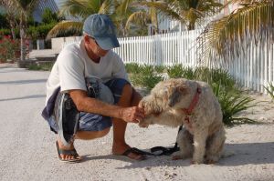 Sometimes I wish I had thumbs