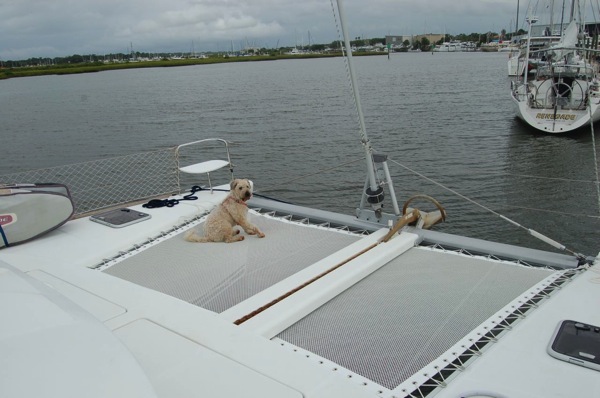 New Trampoline.jpg New Trampoline