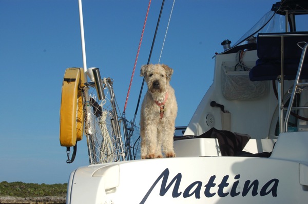 Farley On Deck.jpg Farley On Deck