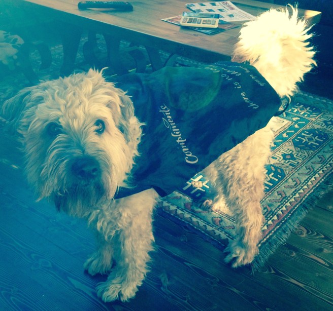 Farley Goes Shopping