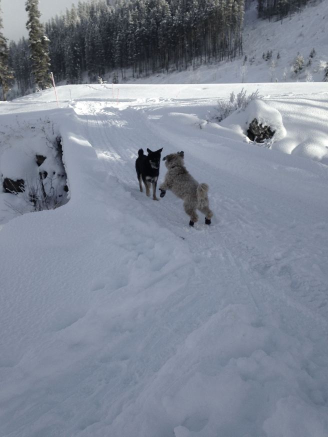 Farley playnign with Max 2