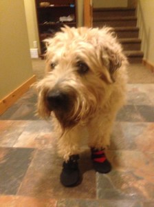 Farley with Red Book