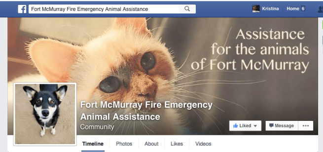 Screen Shot 2016-05-06 at 9.16.26 AM