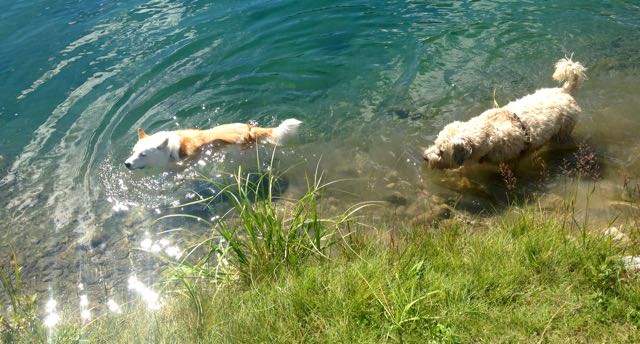 Farley's Friday - The Pond