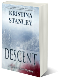 Descent 3D cover
