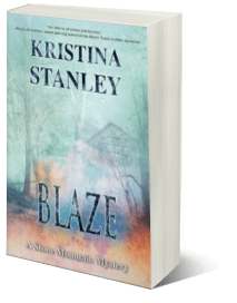 Blaze 3d Cover trans