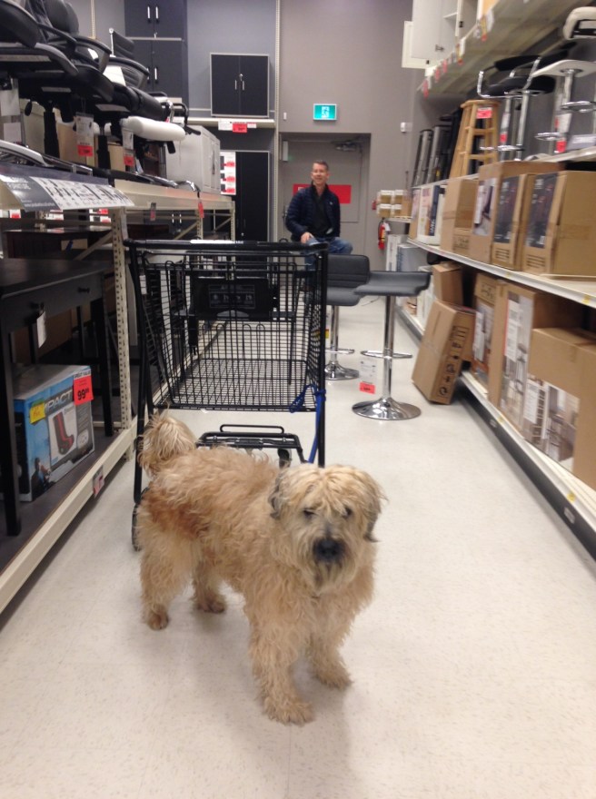 Farley At Canadian Tire
