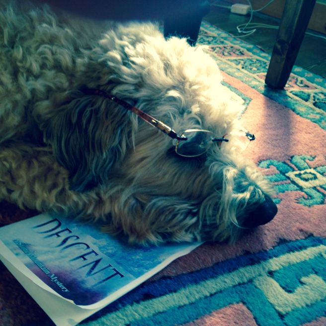 Farley reading DESCENT.jpg