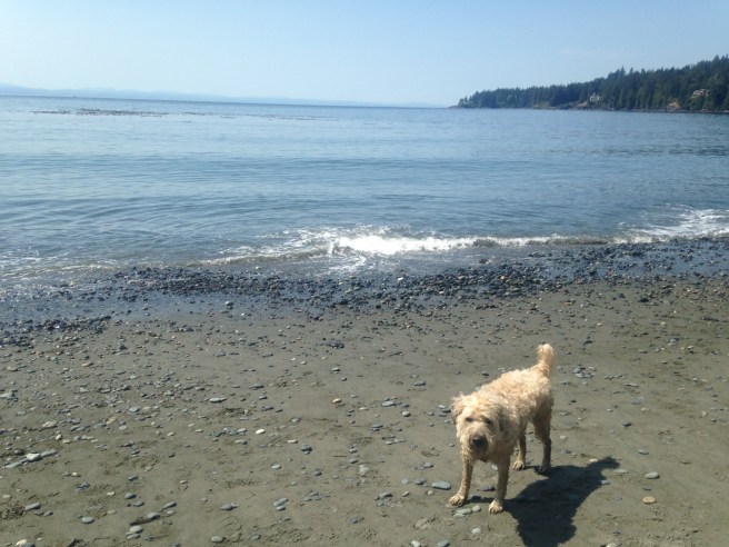 Farley on beach