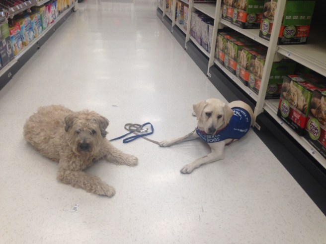 Farley &amp; Kinta at mall